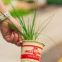 Leek – Broad London – 4″ Pot